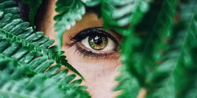 vidění a cvičení k jeho obnovení